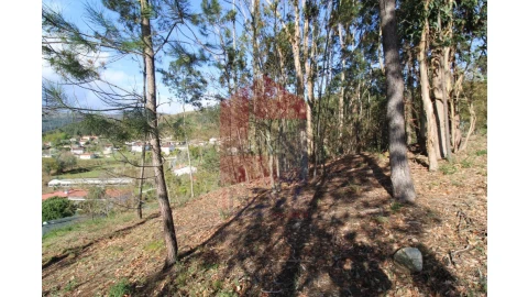 Terreno para Venda em Sande, Vilarinho, Barros e Gomide