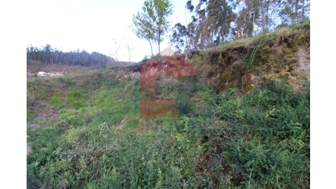 Terreno para Venda em Sande, Vilarinho, Barros e Gomide