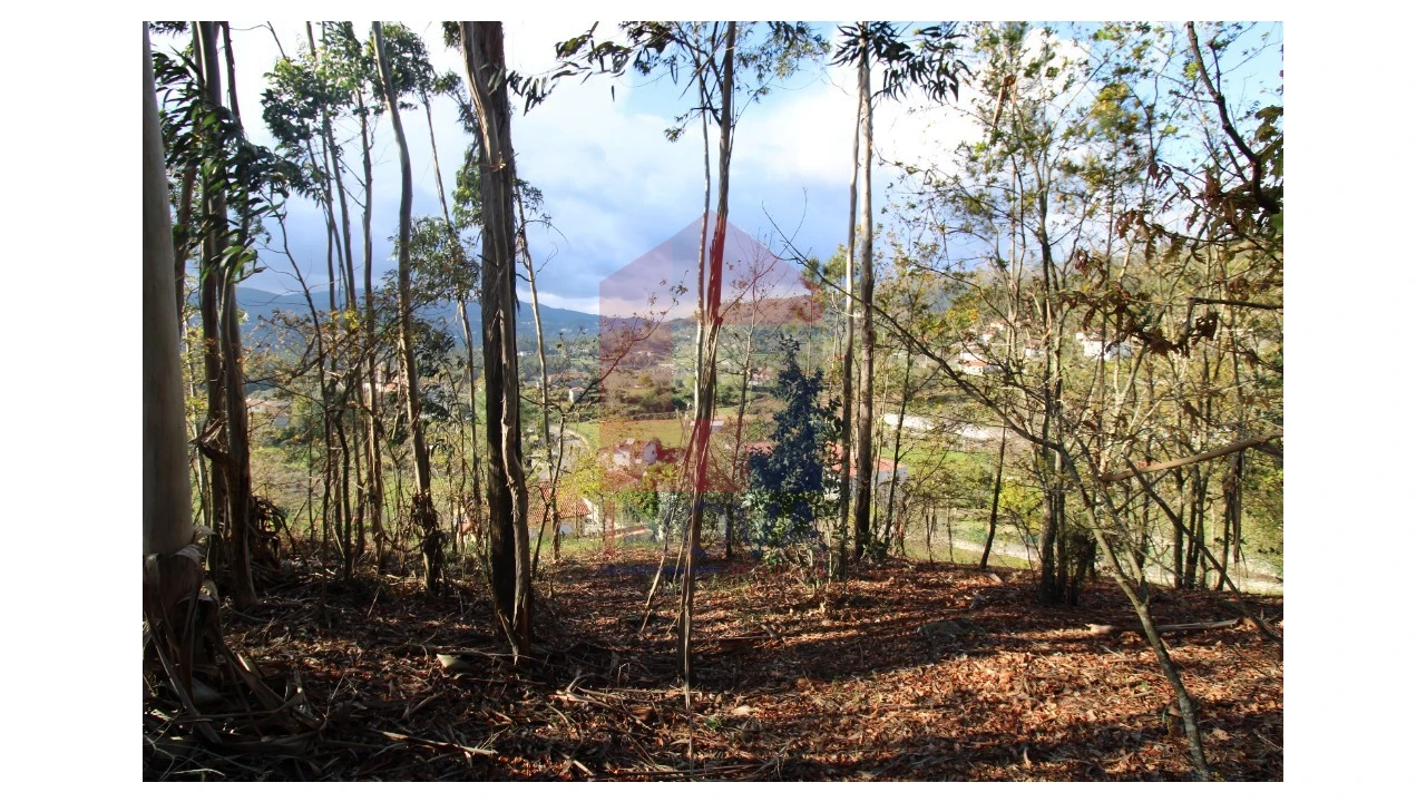 Terreno para Venda em Sande, Vilarinho, Barros e Gomide Foto 20