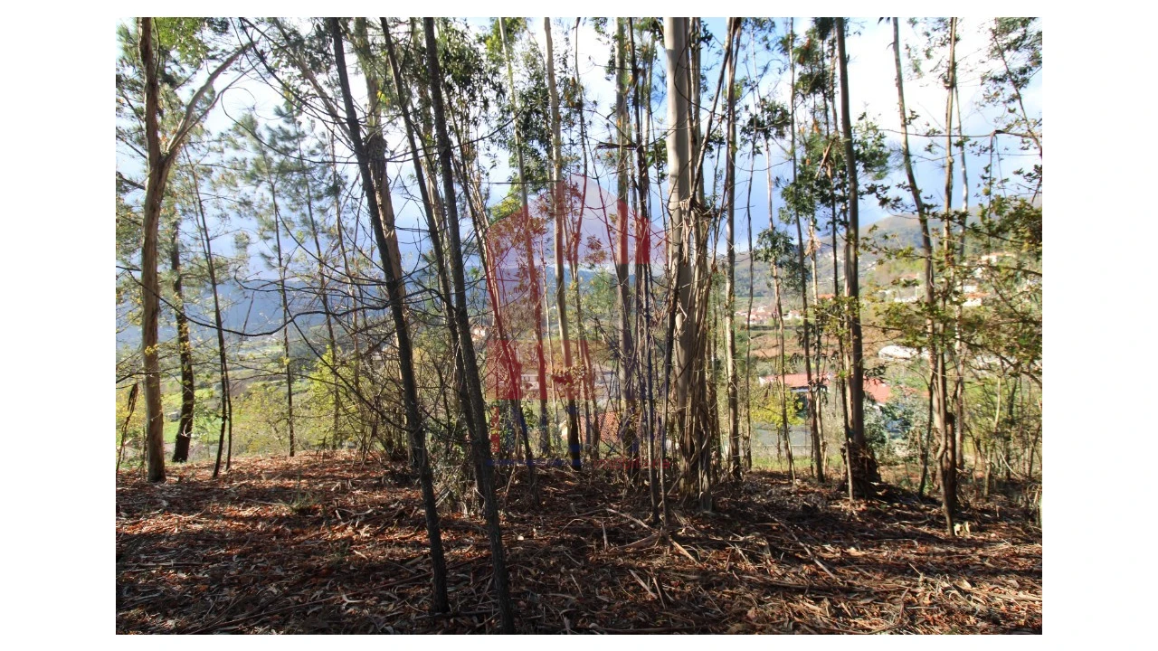 Terreno para Venda em Sande, Vilarinho, Barros e Gomide Foto 19