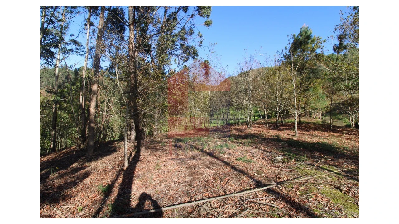 Terreno para Venda em Sande, Vilarinho, Barros e Gomide Foto 17