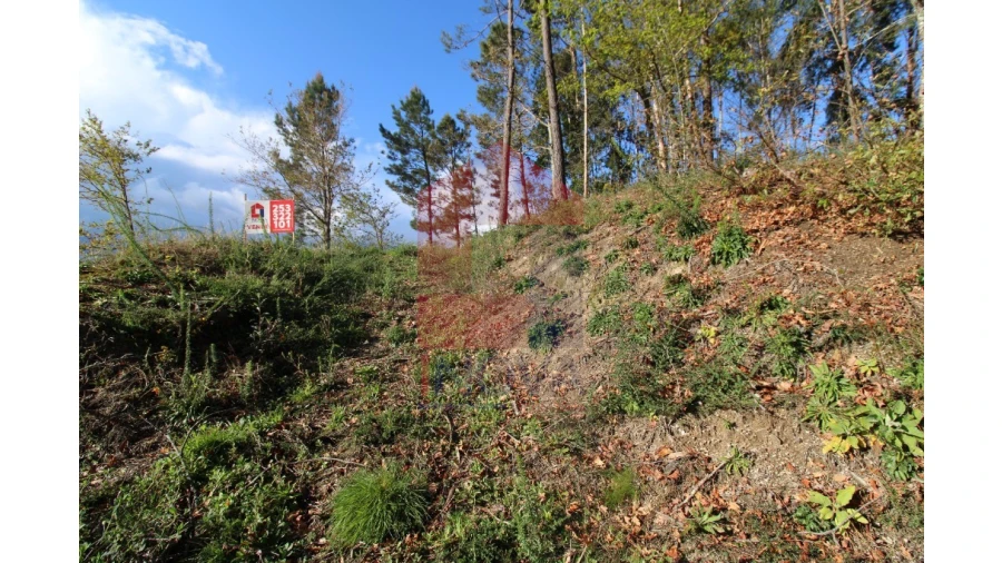 Terreno para Venda em Sande, Vilarinho, Barros e Gomide Foto 10