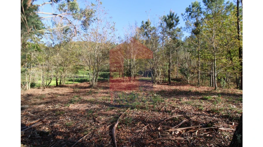 Terreno para Venda em Sande, Vilarinho, Barros e Gomide Foto 18