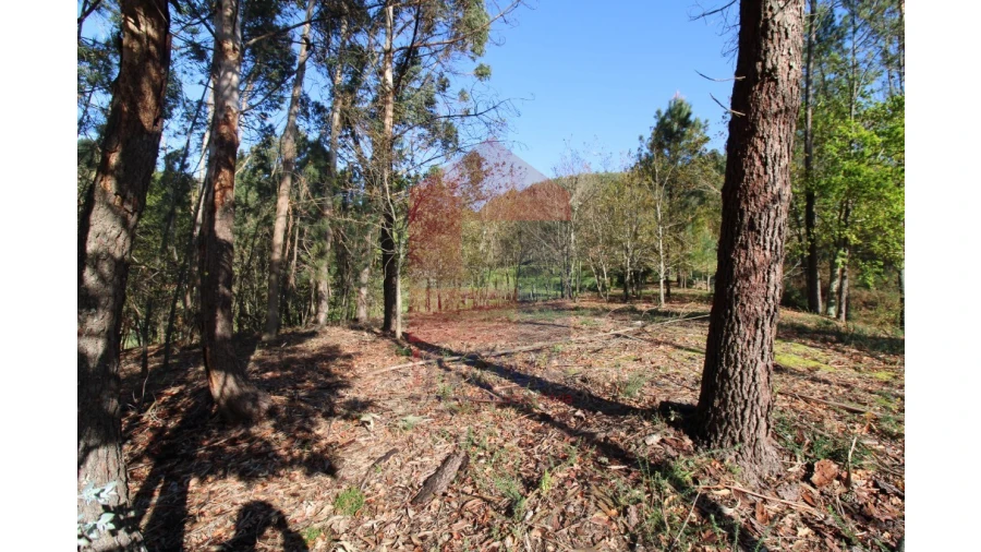 Terreno para Venda em Sande, Vilarinho, Barros e Gomide Foto 16