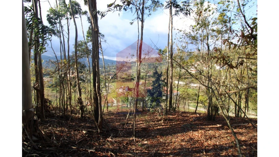 Terreno para Venda em Sande, Vilarinho, Barros e Gomide Foto 20