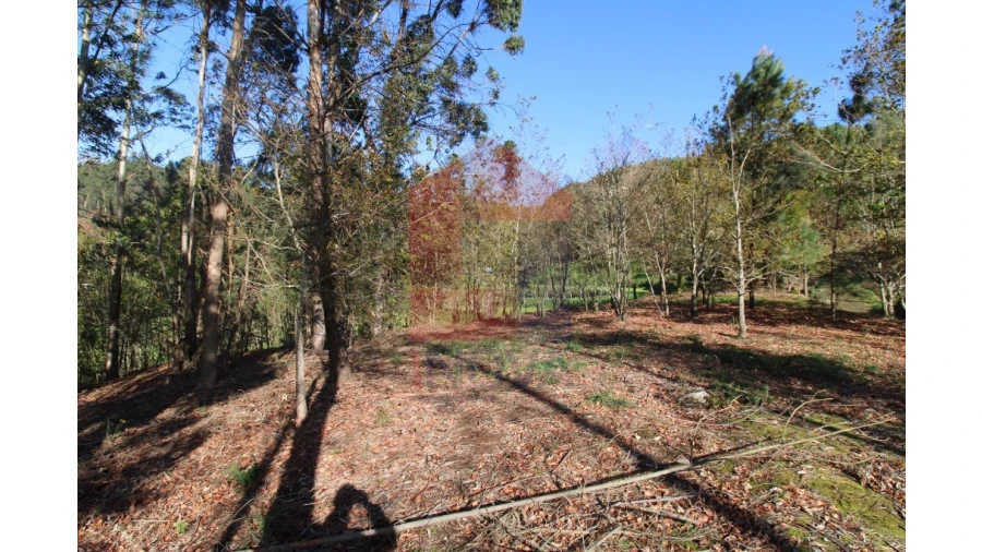 Terreno para Venda em Sande, Vilarinho, Barros e Gomide Foto 17
