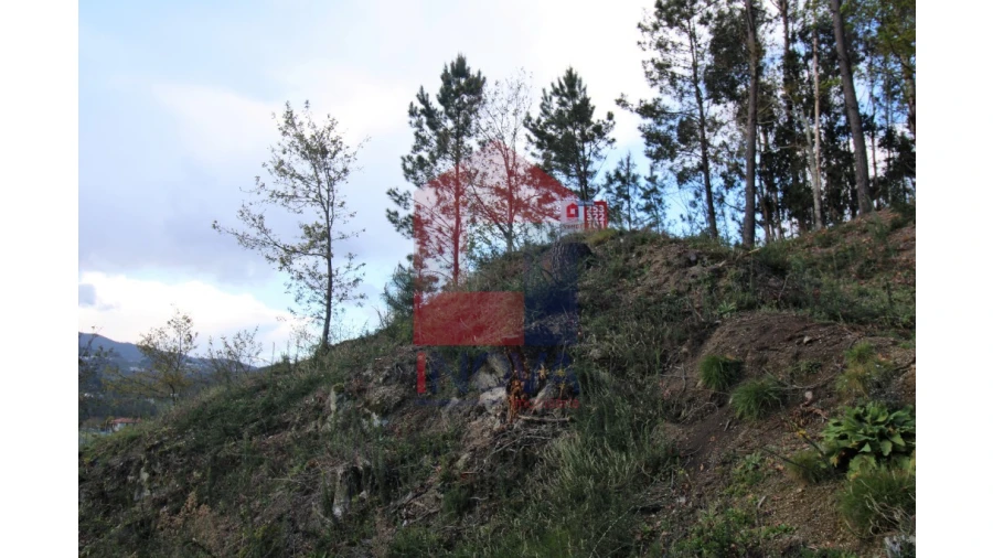 Terreno para Venda em Sande, Vilarinho, Barros e Gomide Foto 48