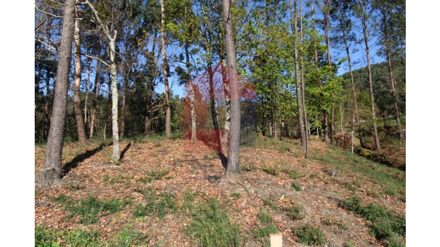 Terreno para Venda em Sande, Vilarinho, Barros e Gomide Foto 7