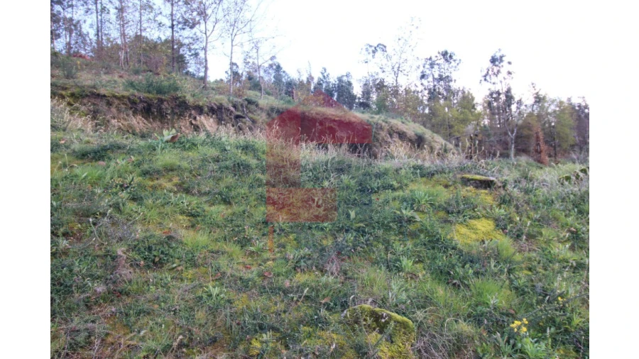 Terreno para Venda em Sande, Vilarinho, Barros e Gomide Foto 32