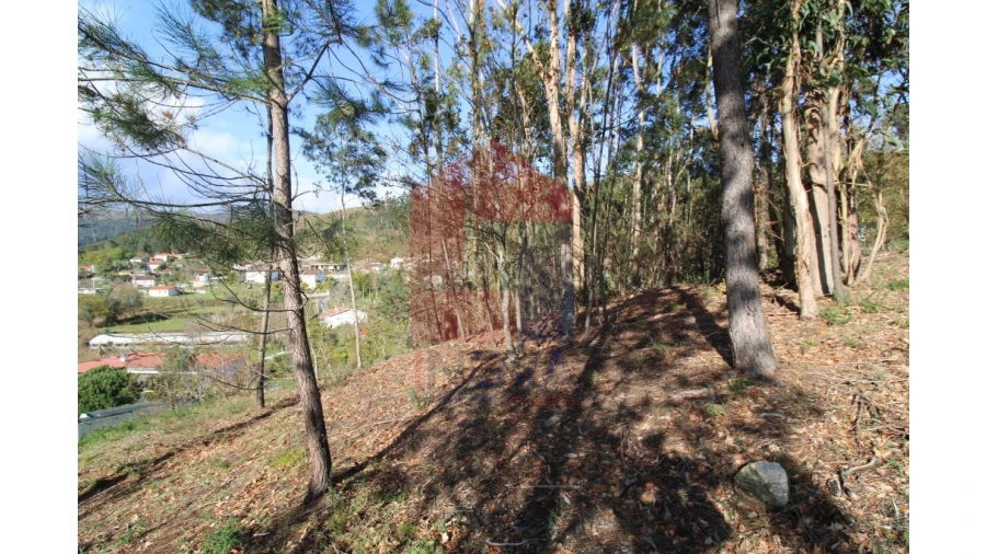 Terreno para Venda em Sande, Vilarinho, Barros e Gomide Foto 14