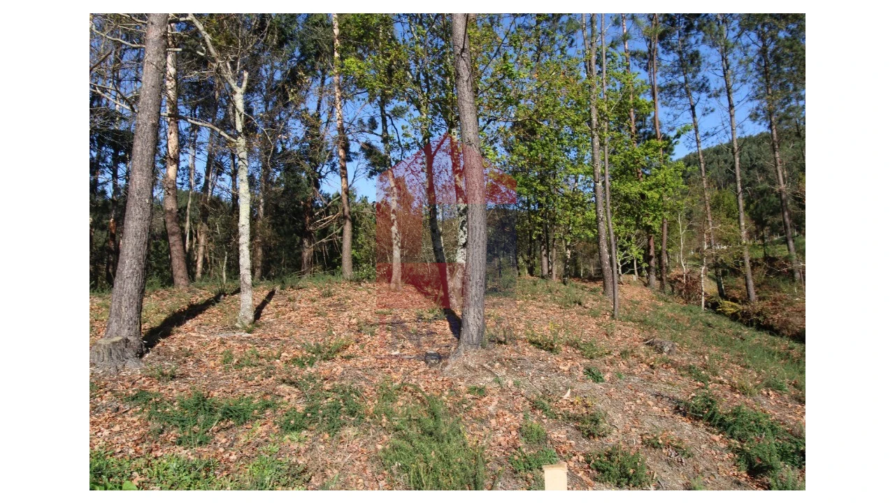 Terreno para Venda em Sande, Vilarinho, Barros e Gomide Foto 7