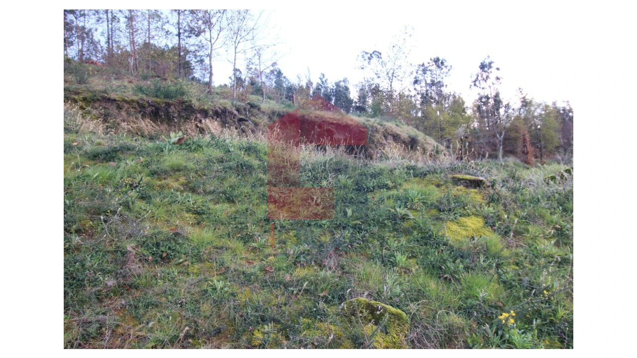 Terreno para Venda em Sande, Vilarinho, Barros e Gomide Foto 32