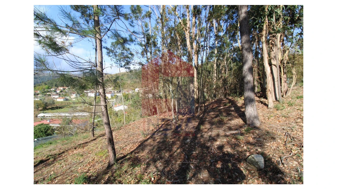 Terreno para Venda em Sande, Vilarinho, Barros e Gomide Foto 14