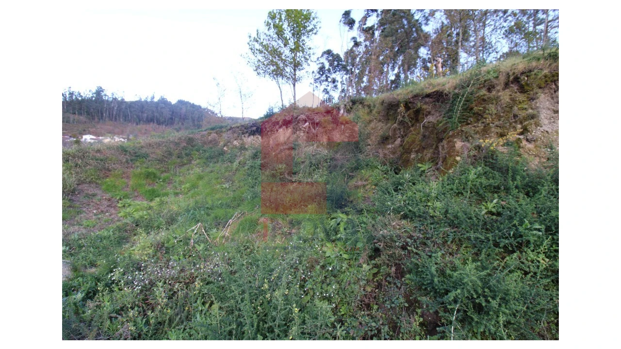 Terreno para Venda em Sande, Vilarinho, Barros e Gomide Foto 38