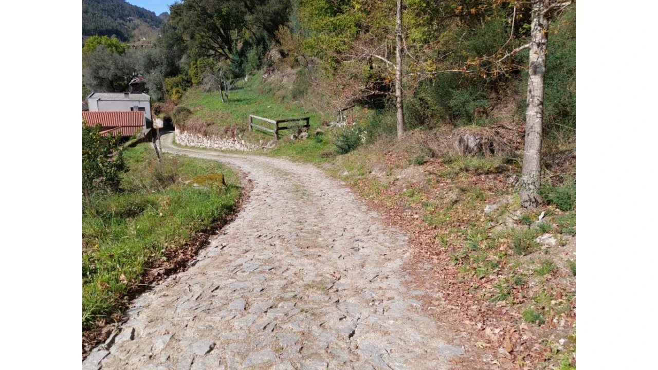 Terreno para Venda em Vilela, Seramil e Paredes Secas Foto 8