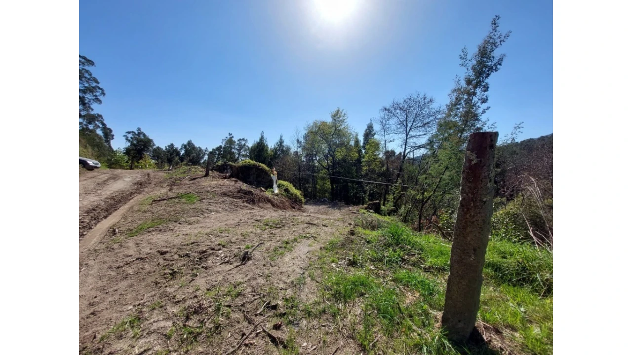 Terreno para Venda em Vilela, Seramil e Paredes Secas Foto 7