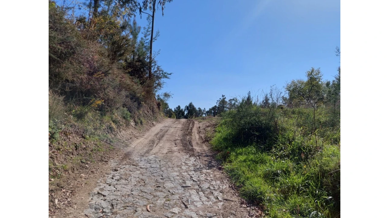 Terreno para Venda em Vilela, Seramil e Paredes Secas Foto 6