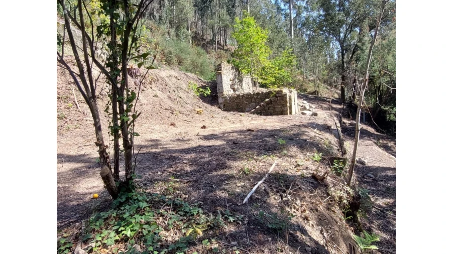 Terreno para Venda em Vilela, Seramil e Paredes Secas Foto 5