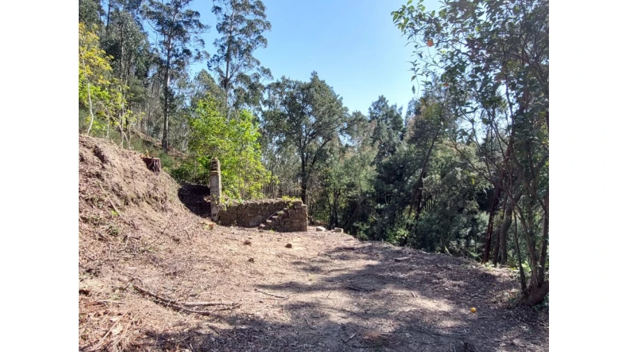 Terreno para Venda em Vilela, Seramil e Paredes Secas Foto 4
