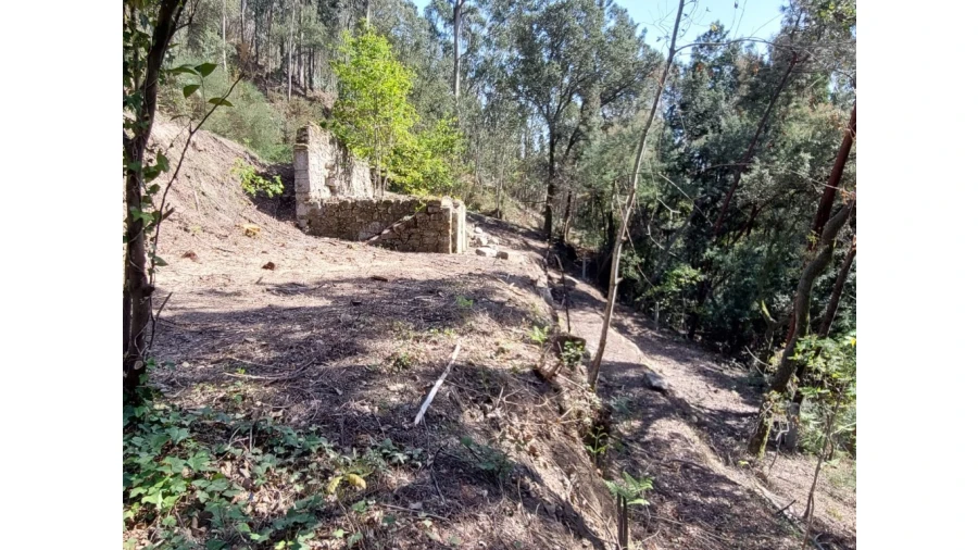 Terreno para Venda em Vilela, Seramil e Paredes Secas Foto 10