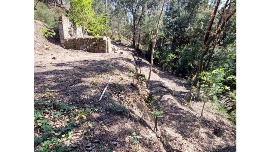 Terreno para Venda em Vilela, Seramil e Paredes Secas Foto 2