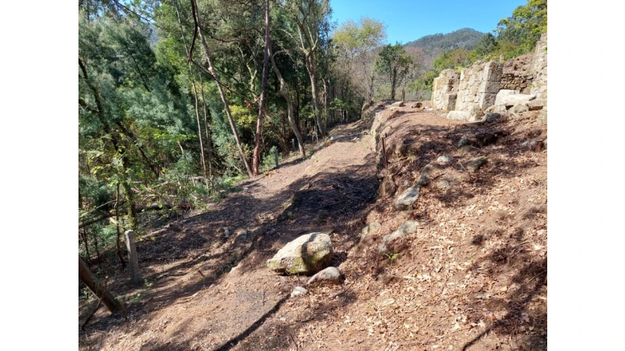 Terreno para Venda em Vilela, Seramil e Paredes Secas Foto 11