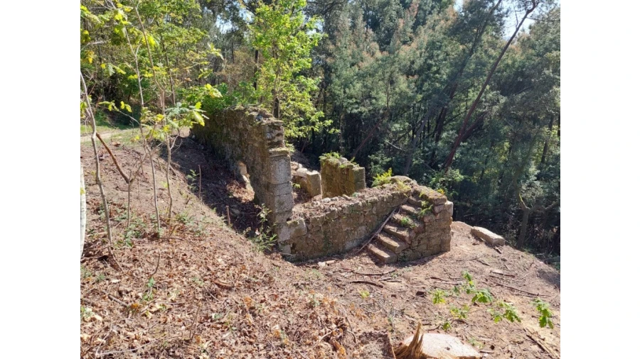 Terreno para Venda em Vilela, Seramil e Paredes Secas