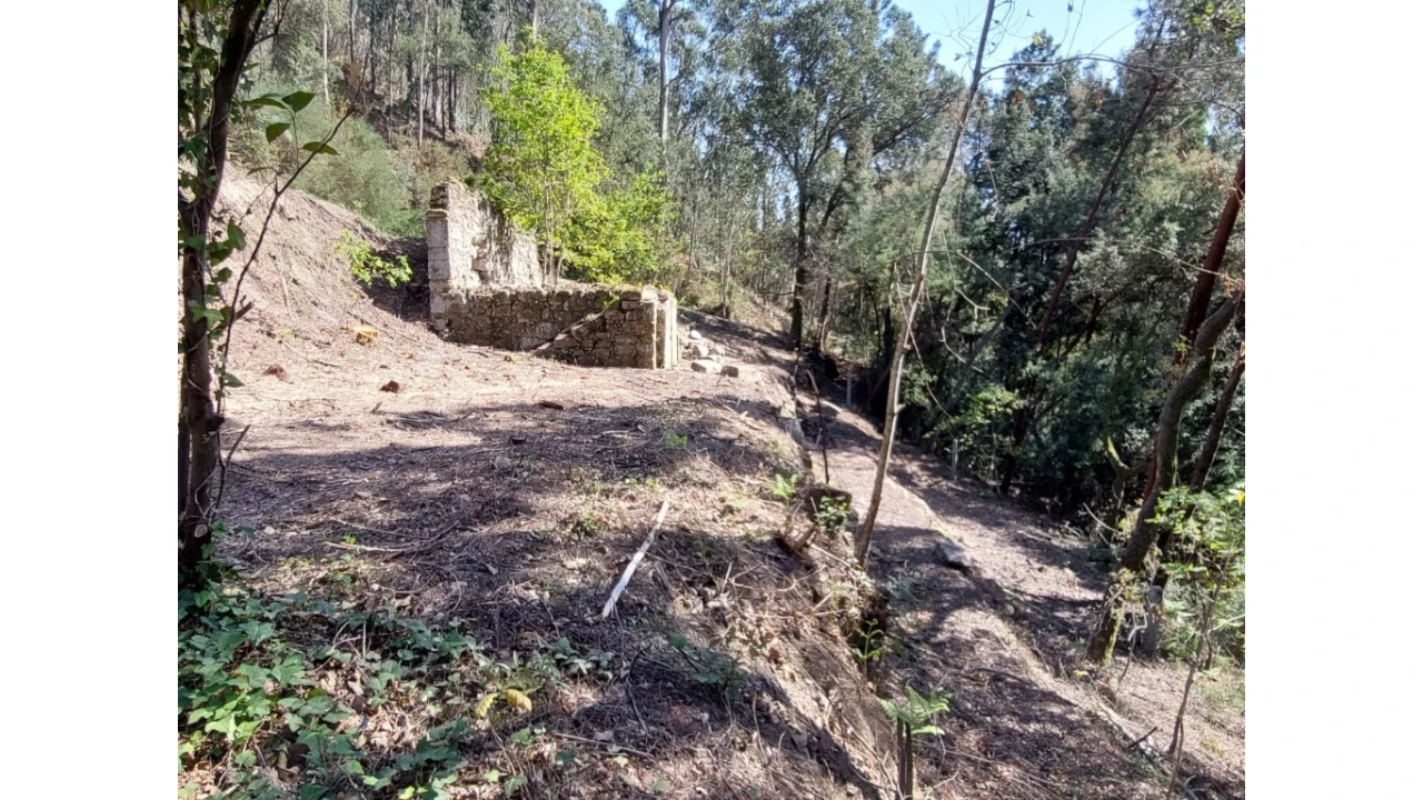 Terreno para Venda em Vilela, Seramil e Paredes Secas Foto 10
