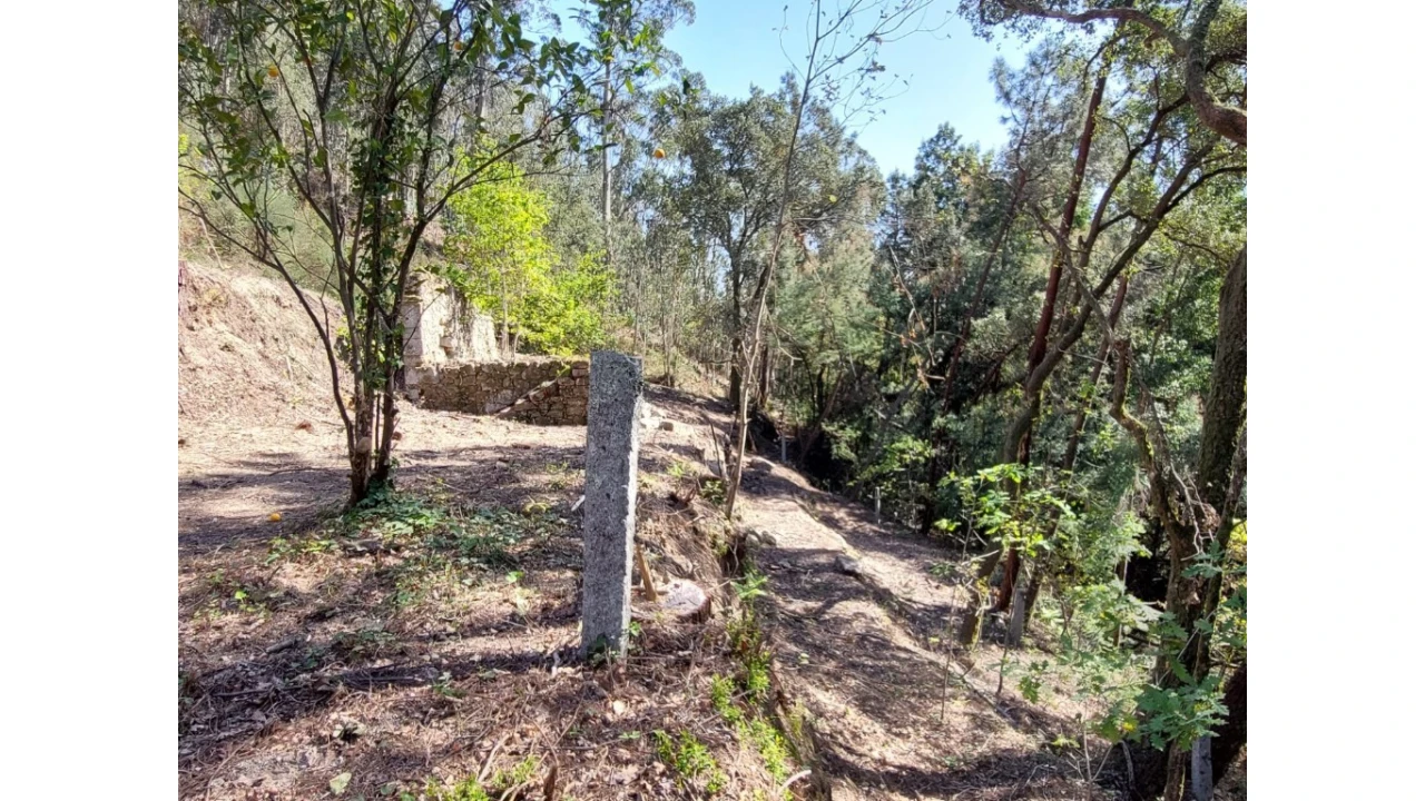 Terreno para Venda em Vilela, Seramil e Paredes Secas Foto 12