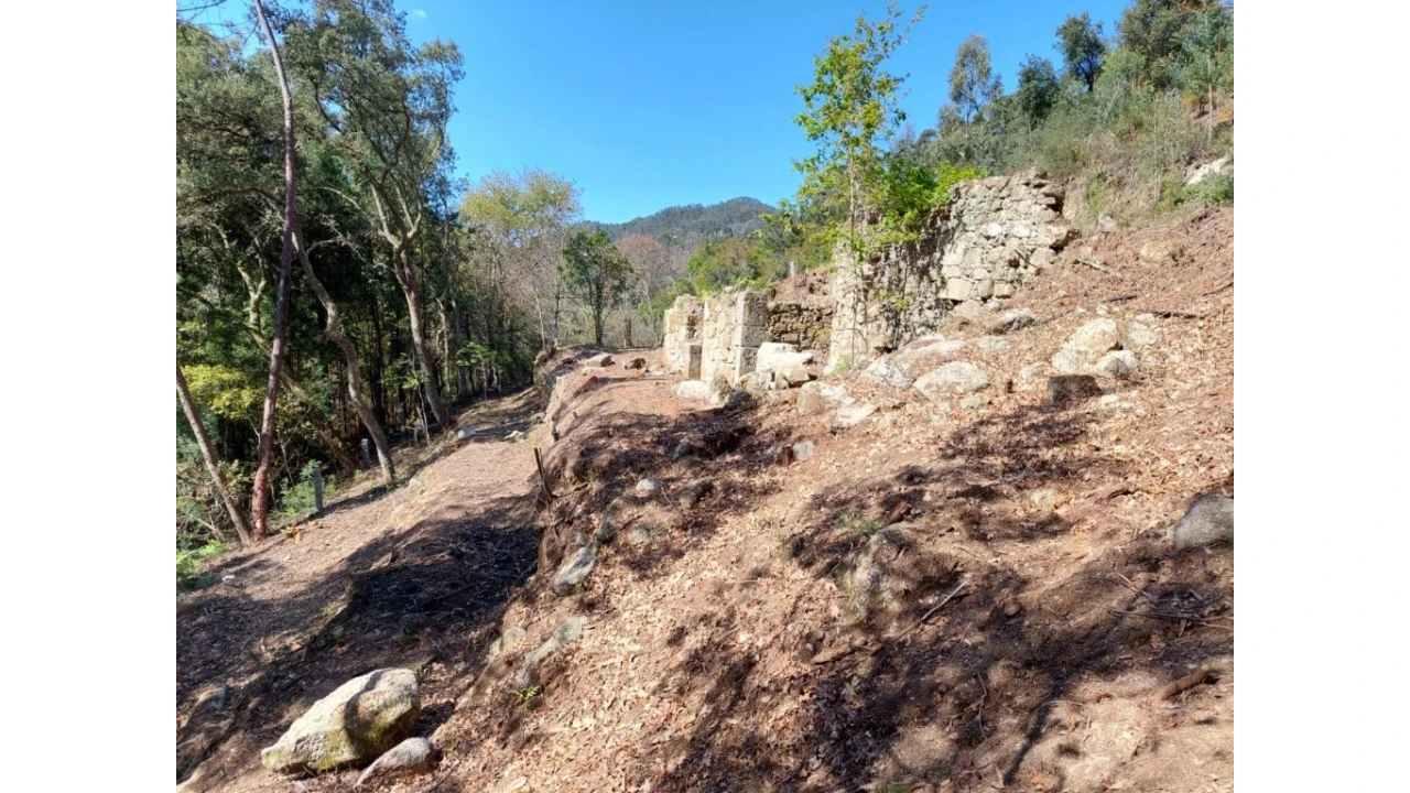 Terreno para Venda em Vilela, Seramil e Paredes Secas Foto 3