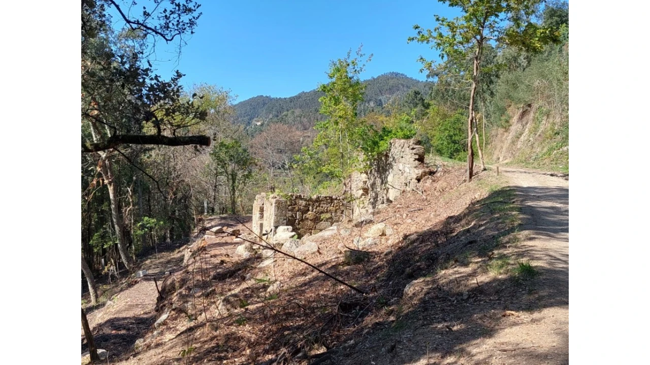 Terreno para Venda em Vilela, Seramil e Paredes Secas Foto 9