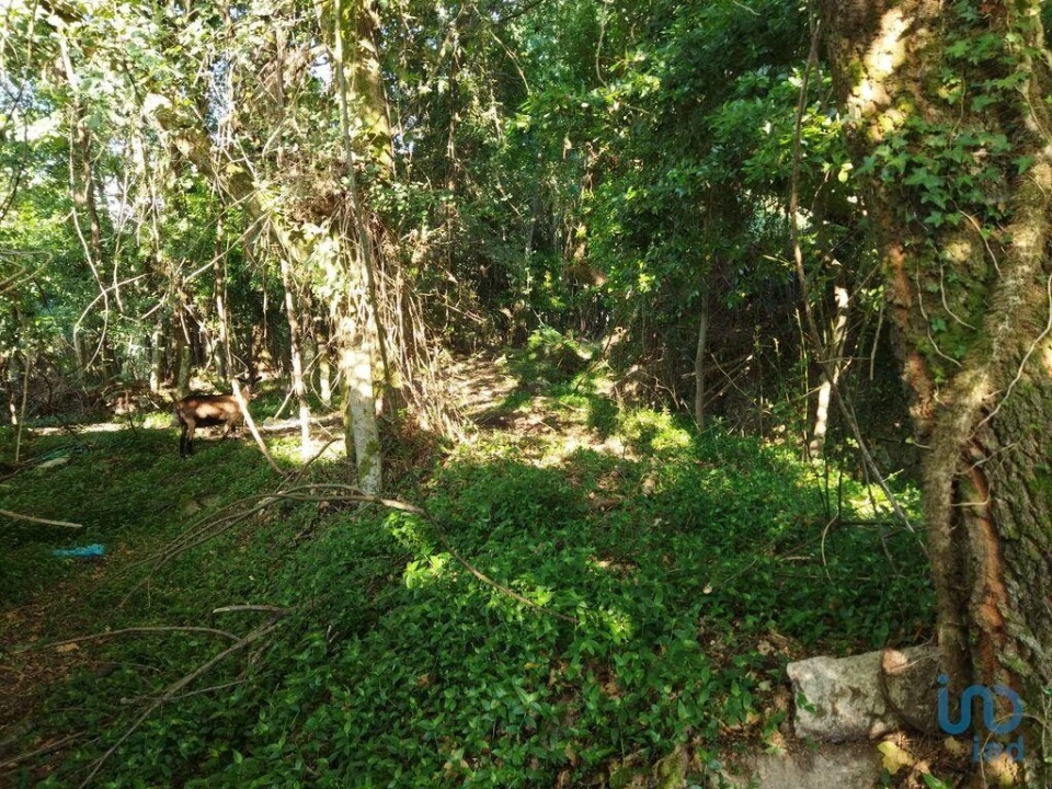 Moradia T2 para Venda em Vila Nova de Cerveira e Lovelhe Foto 14