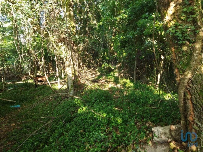 Moradia T2 para Venda em Vila Nova de Cerveira e Lovelhe Foto 14