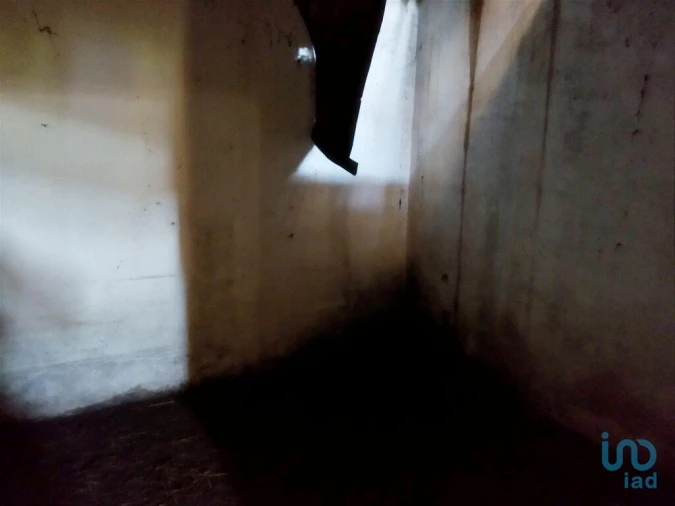 Moradia T2 para Venda em Vila Nova de Cerveira e Lovelhe Foto 9