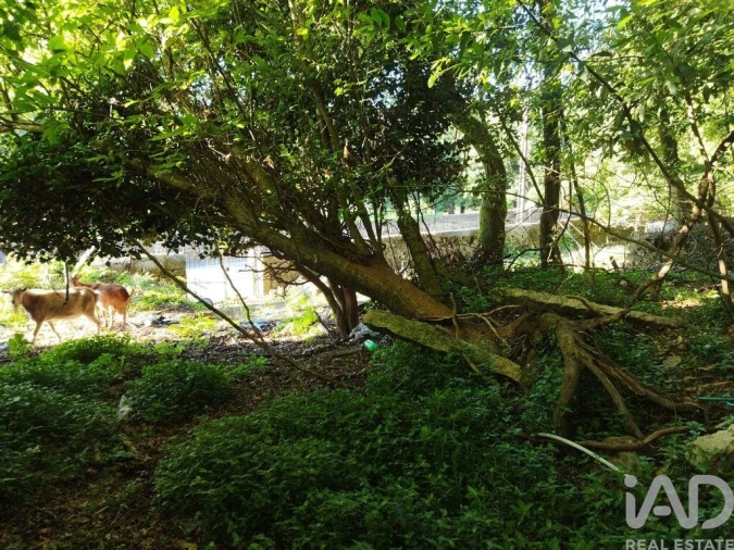 Moradia T2 para Venda em Vila Nova de Cerveira e Lovelhe Foto 16