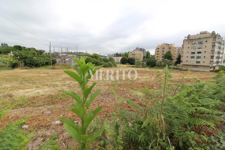 Terreno para Venda em Aguas Santas Foto 6