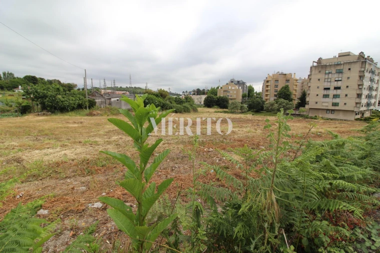Terreno para Venda em Aguas Santas Foto 7