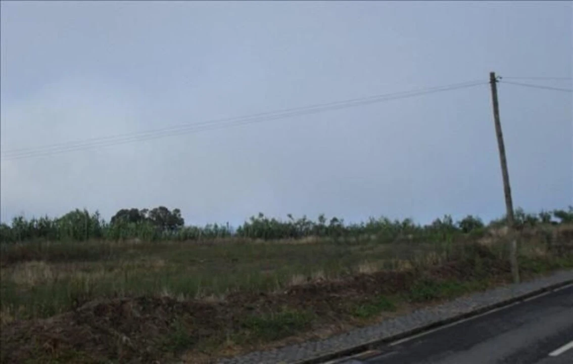 Terreno para Venda em Ginetes Foto 6