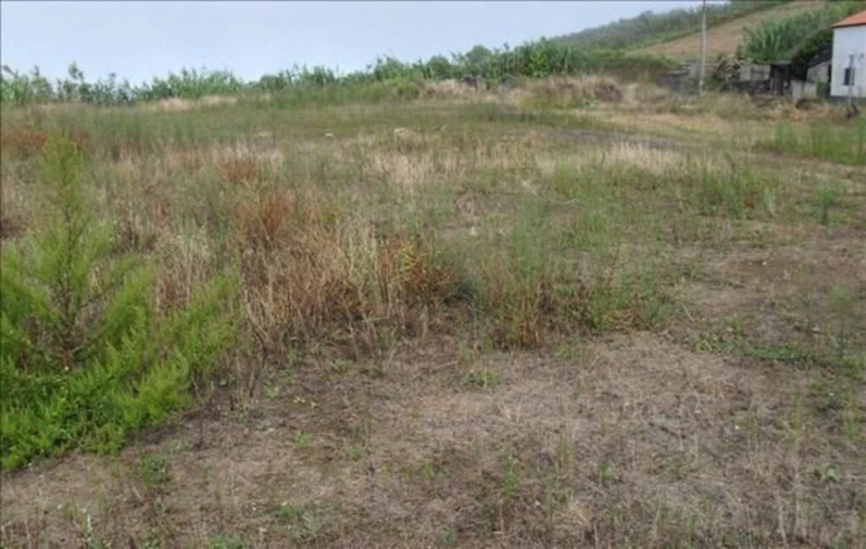 Terreno para Venda em Ginetes Foto 8