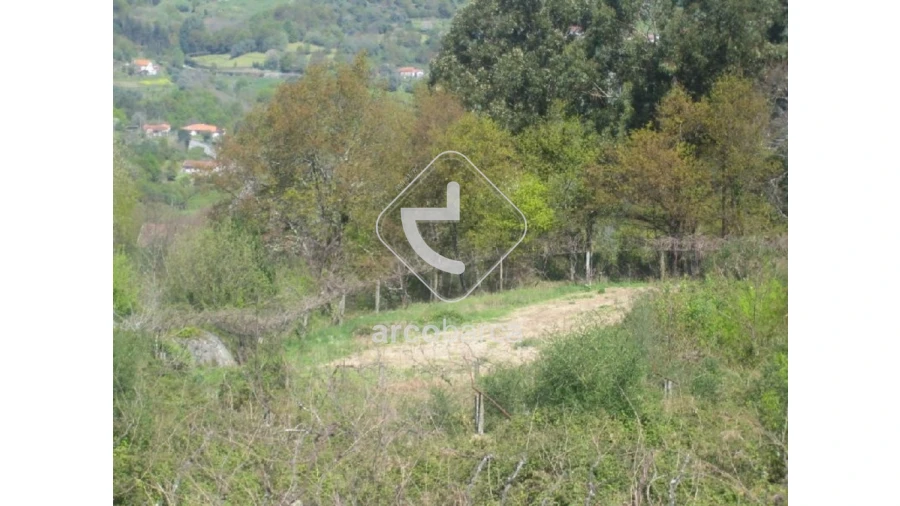 Terreno para Venda em Rio Frio Foto 2