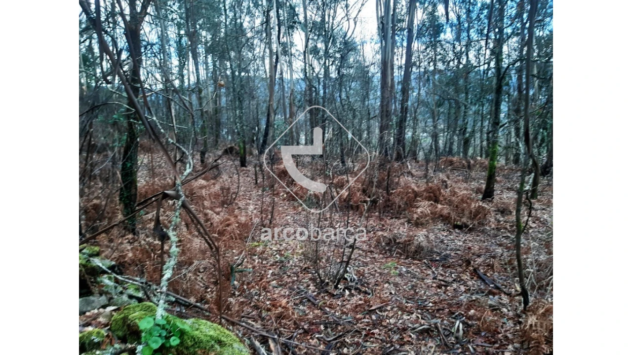 Terreno para Venda em Vilela, São Cosme e São Damião e Sá Foto 3