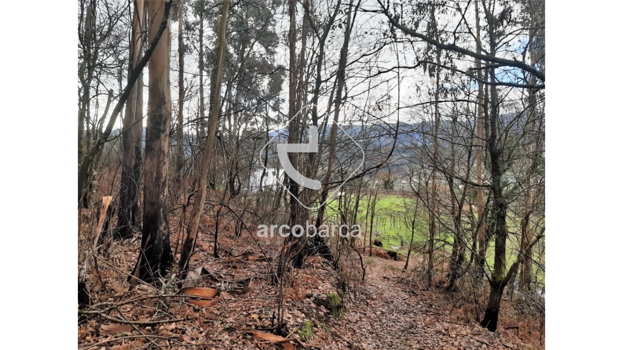 Terreno para Venda em Vilela, São Cosme e São Damião e Sá Foto 7