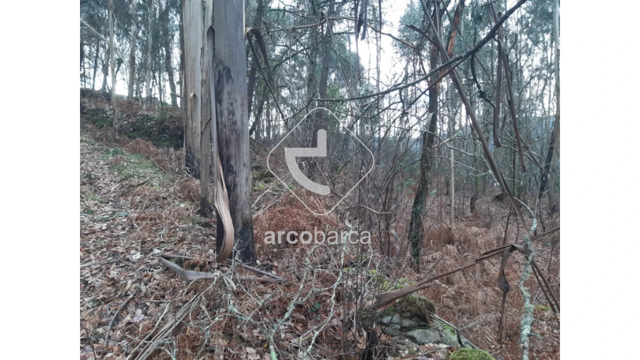 Terreno para Venda em Vilela, São Cosme e São Damião e Sá Foto 4