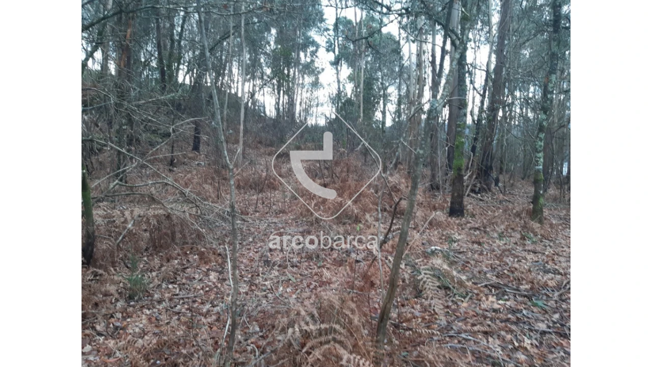 Terreno para Venda em Vilela, São Cosme e São Damião e Sá Foto 11
