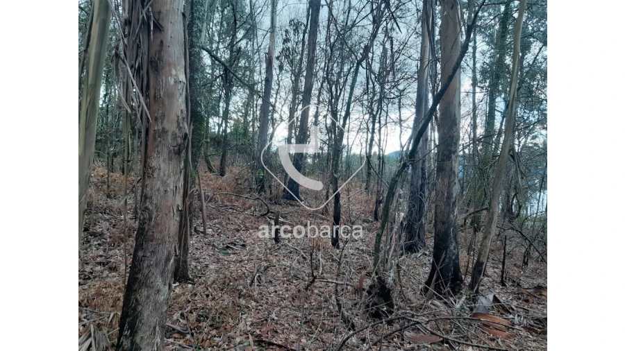 Terreno para Venda em Vilela, São Cosme e São Damião e Sá Foto 6