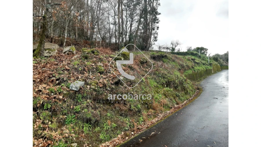 Terreno para Venda em Vilela, São Cosme e São Damião e Sá Foto 13