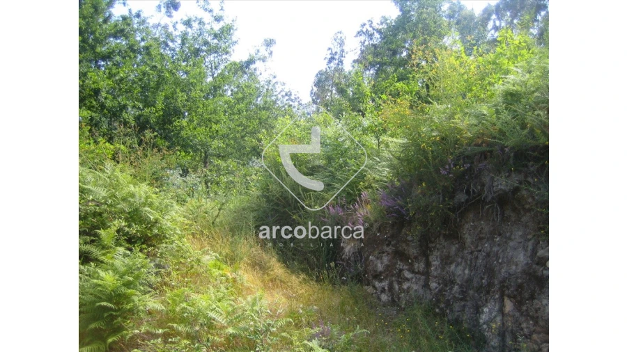 Terreno para Venda em Vilela, São Cosme e São Damião e Sá Foto 9