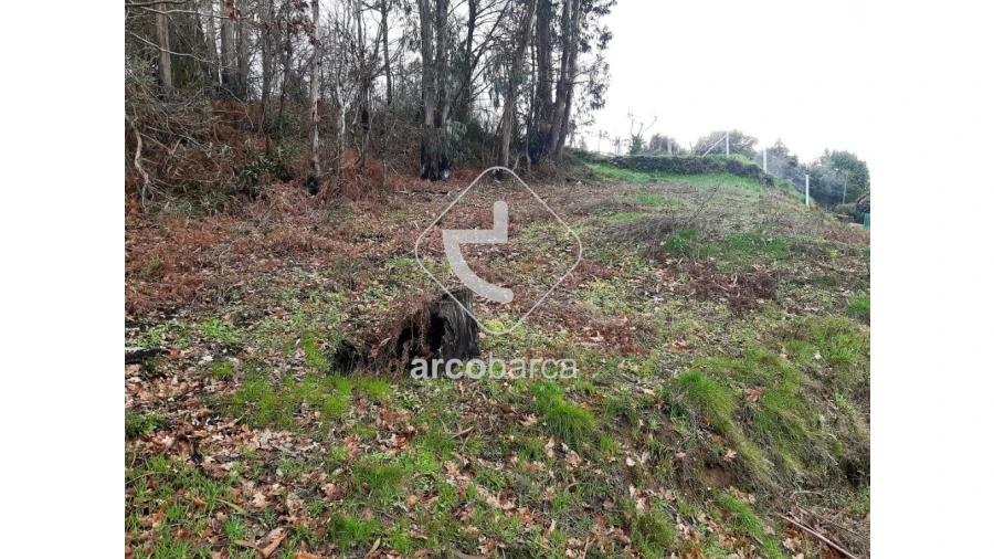 Terreno para Venda em Vilela, São Cosme e São Damião e Sá Foto 14