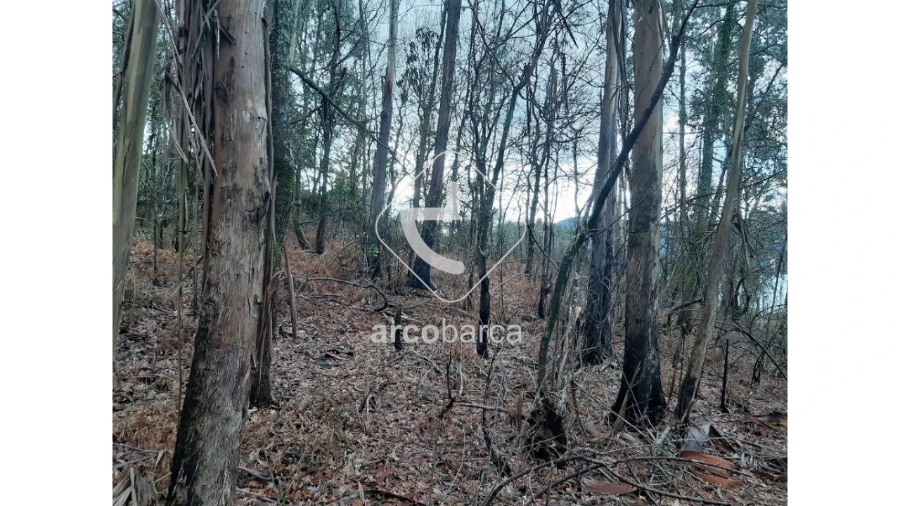 Terreno para Venda em Vilela, São Cosme e São Damião e Sá Foto 6
