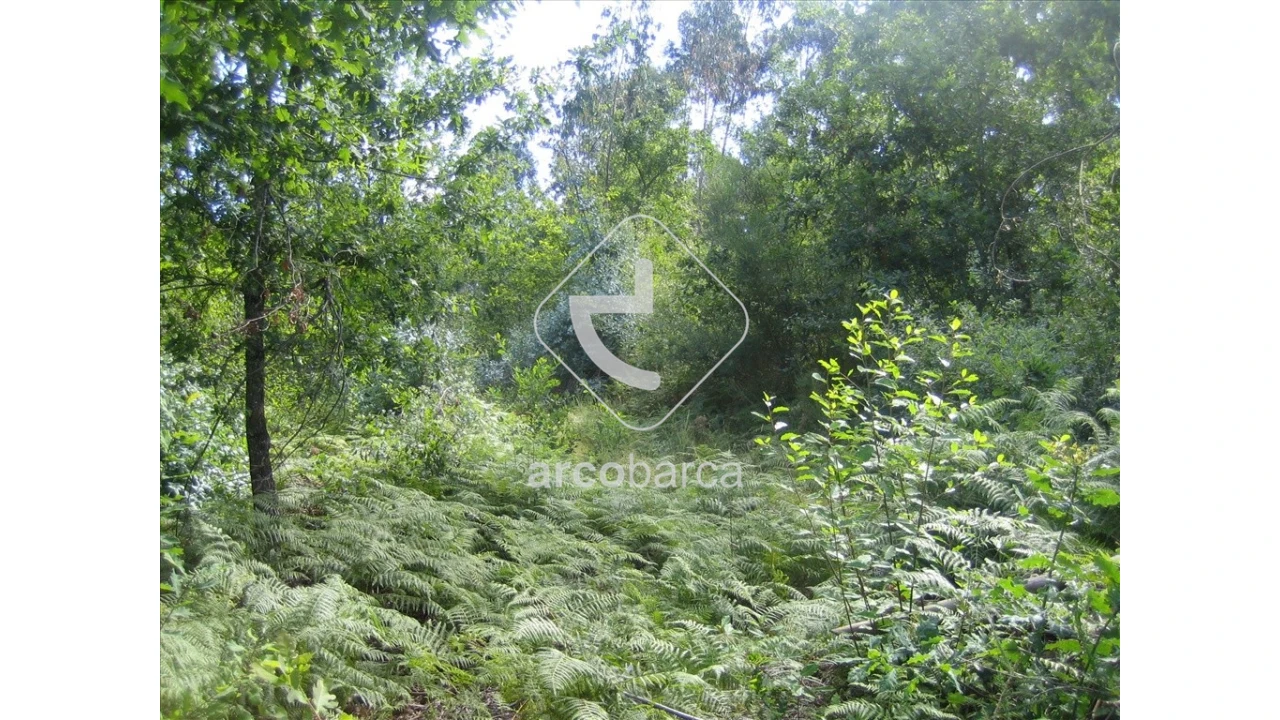 Terreno para Venda em Vilela, São Cosme e São Damião e Sá Foto 8
